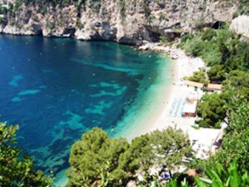 Hotel De Monaco 3*
